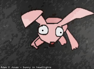 adamsbunny.jpg