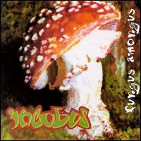 funguscover.jpg